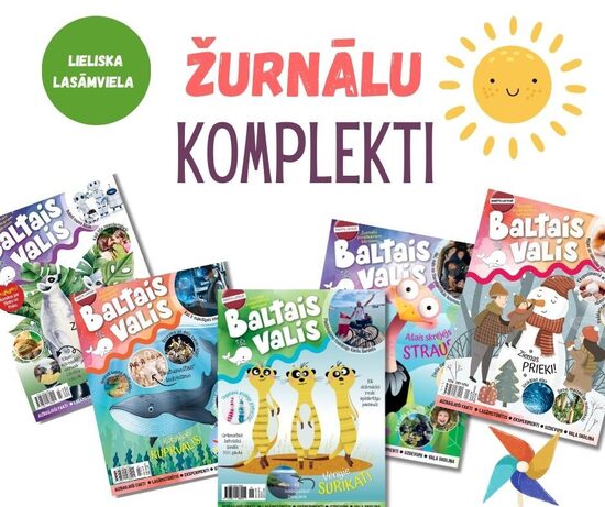 Komplekti